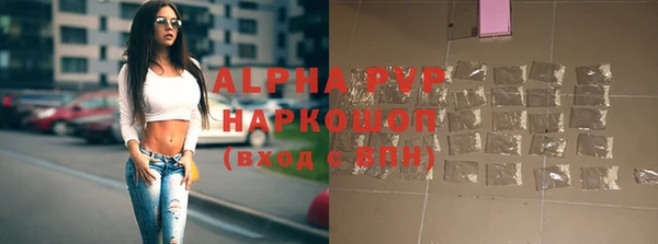Альфа ПВП Белокуриха