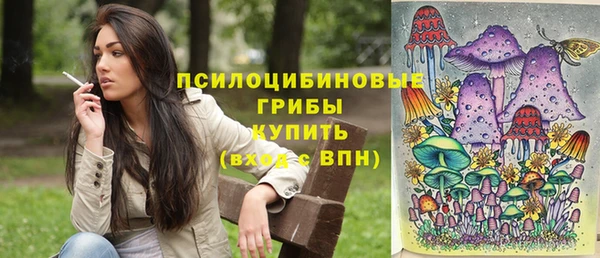 прущая мука Бородино