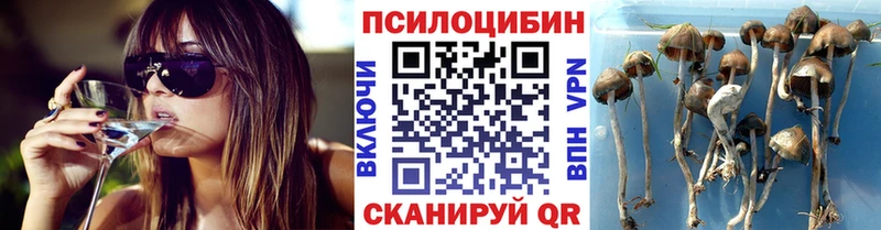 Галлюциногенные грибы мицелий  цена наркотик  Волчанск 