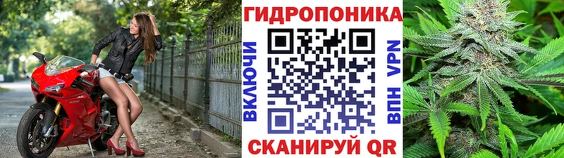 цена наркотик  ОМГ ОМГ tor  Марихуана LSD WEED  Волчанск 